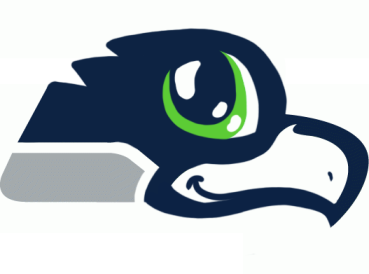 Seattle Seahawks Anime Logo DIY iron on transfer (heat transfer)